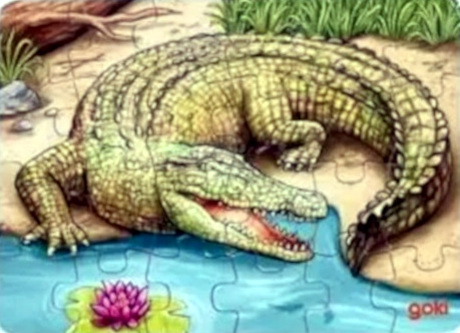 Puzzle Animaux d'Australie Crocodile - Goki
