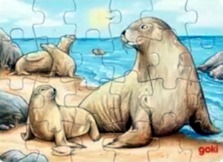 Puzzle Animaux d'Australie Phoque - Goki