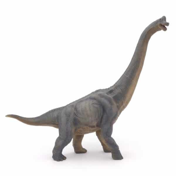 Brachiosaure PAPO